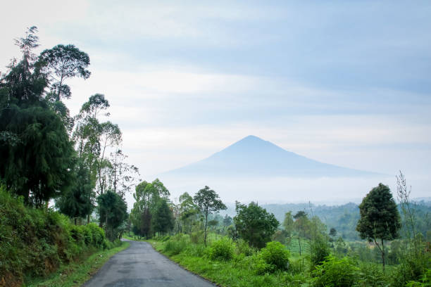  Lemosho Route from Moshi 2026–2027